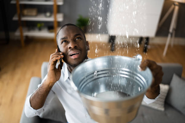 Best Water damage restoration services  in Fox Lake, WI