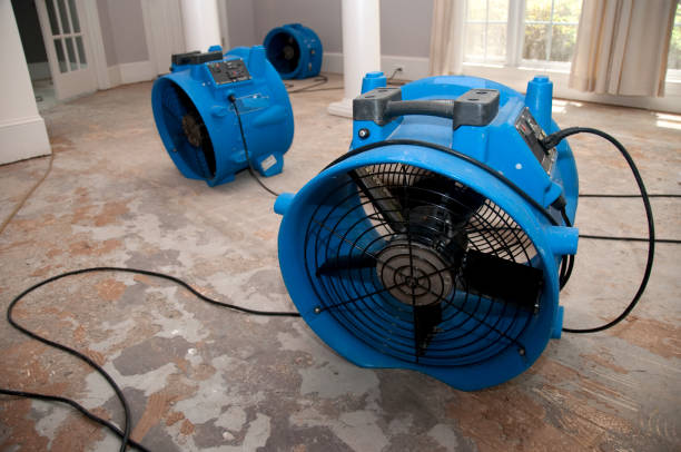 Best Fire Damage Restoration  in Fox Lake, WI