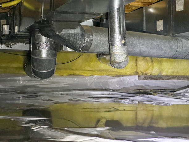 Best Ceiling water damage repair  in Fox Lake, WI