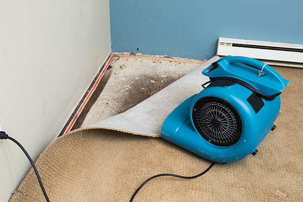 Best Water damage cleanup near me  in Fox Lake, WI